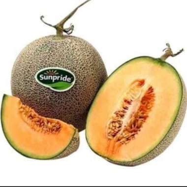 Rock Melon Sunpride super 1 pcs