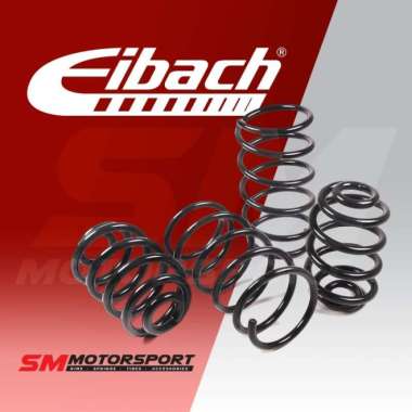 Per Eibach Mobil BMW F30 6 Cylinder