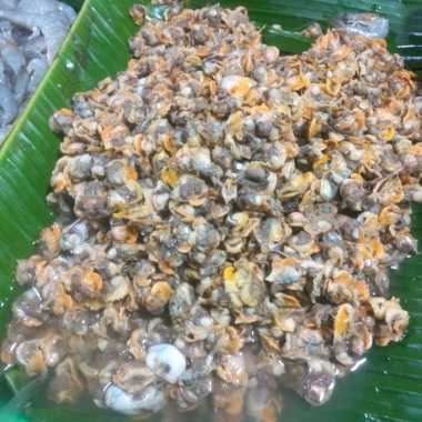 kerang dara kupas
