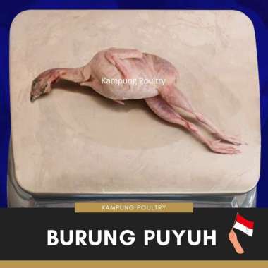 Burung Puyuh Afkir Super 140 - 159 gram
