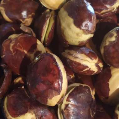 JENGKOL JAPARA JENGKOL JEPARA SUPER 1.0KG