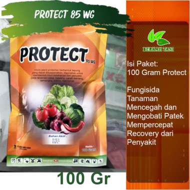 Protect 100 Gram Fungisida Patek dan Xanthomonas