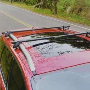 Buzzrack Rak Bagasi Atap Mobil