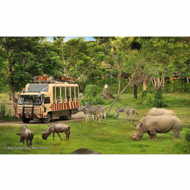 Jual Tiket Taman Safari Terbaru 2020 Harga Termurah Blibli