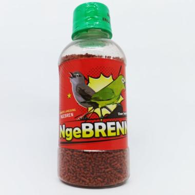 Daftar Harga Burung Kicau Sempati Terbaru Februari 2020