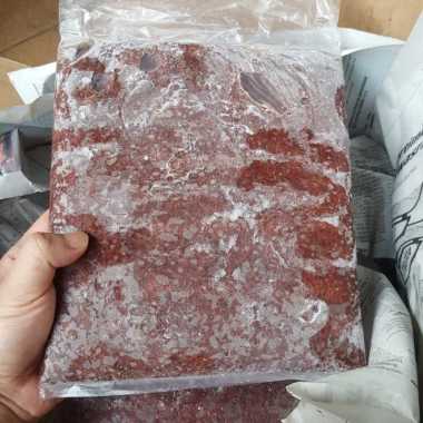 Cacing beku (bloodworm) cacing darah frozen worm 500gr 1/2kg