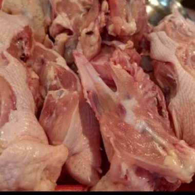 TULANG KERONGKONG AYAM SEGAR 500 GRAM