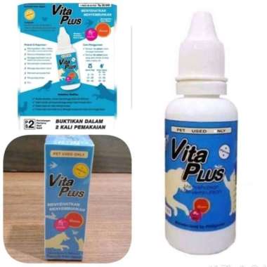 vita plus kucing