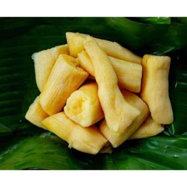 Jual Tape Singkong Juli 2021 Banyak Pilihan Harga Murah Blibli