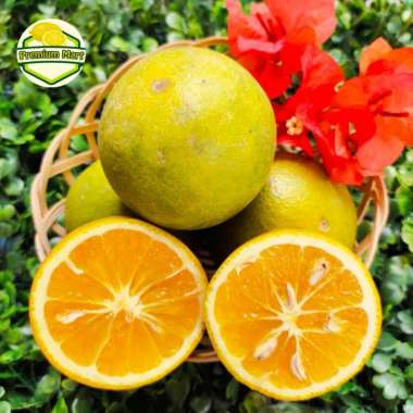 PREMIUM MART Jeruk Baby Java Malang [1 kg]
