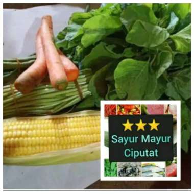 PAKET SAYUR BAYAM/BENING