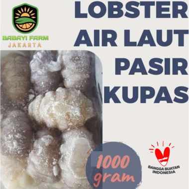 Lobster Air Laut Pasir 500 gr 1 kg Cangkang Utuh / Kupas 1 Kg-Kupas