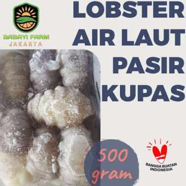 Lobster Air Laut Pasir 500 gr 1 kg Cangkang Utuh / Kupas 500 gr-Kupas