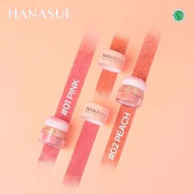 Hanasui Blush On Perfect Cheek Blush & Go | Powder Blush On 02 Peach