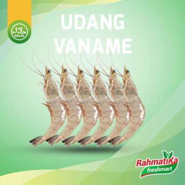 Udang Vaname Segar 500 gram / Udang Panami Size 100 (Isi +/- 50pcs)