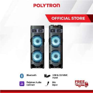 POLYTRON Active Speaker PAS 10DF22