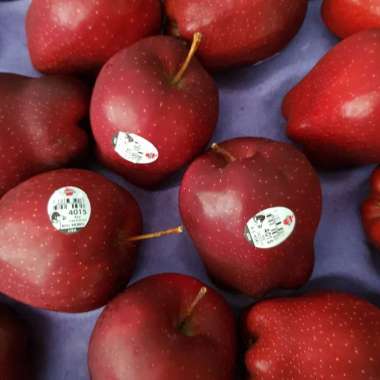 Harga Apel Merah Blibli Com Dapat memperbaiki kerja usus halus. harga apel merah blibli com