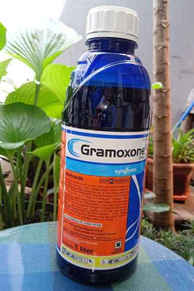 Herbisida Gramoxone 1 liter dari Syngenta