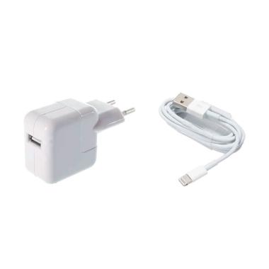 Apple Charger dan Kabel Data Lightning for iPad 1
