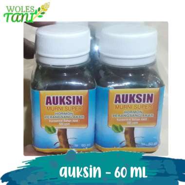 Auksin Auxin Murni 60 ml Putih