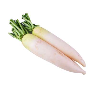 Sayur Lobak Putih 1 Buah (200-350Gram)