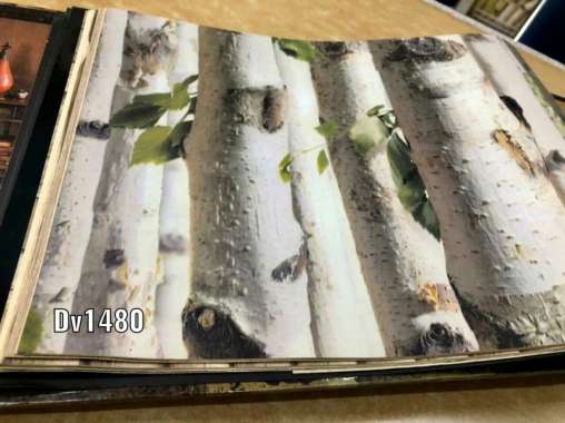 Wallpaper Dinding Motif Pohon Kayu Putih 3D Rock