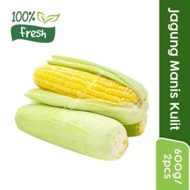 Harga Jagung Manis Murah Harga Promo 