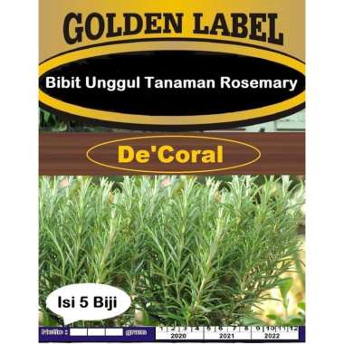 Bibit Unggul Tanaman Rosemary | Benih Rosemary