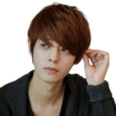 WIG PRIA / WIG LAKI-LAKI COSPLAY / RAMBUT PALSU COWOK / WIG KOREA - Hitam