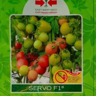 Benih tomat hibrida SERVO F1 1750 butir dari panah merah
