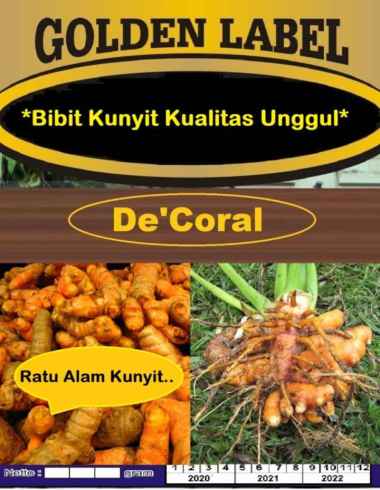 Bibit Kunyit Kulitas Unggul Ratu Alam Kunyit| Benih Kunyit