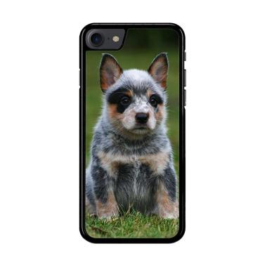 Flazzstore Australian Cattle Dog Y1 ... for iPhone 7 or iPhone 8