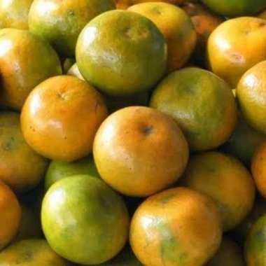 Jeruk Siam Madu Malang Jeruk Madu Malang (1kg)