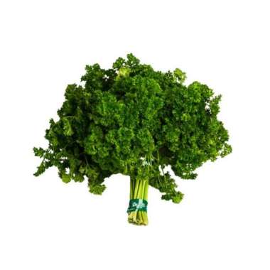 Jual Daun Parsley di Bogor - Gratis Ongkir u0026 Harga Murah 2021  Blibli