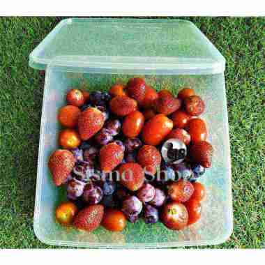 Thinwall Square 1000 ml / Thinwall Kotak 1000 ml - 25 pcs