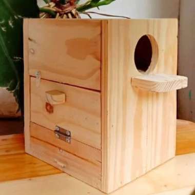 GLODOK BURUNG LOVEBIRD BL911