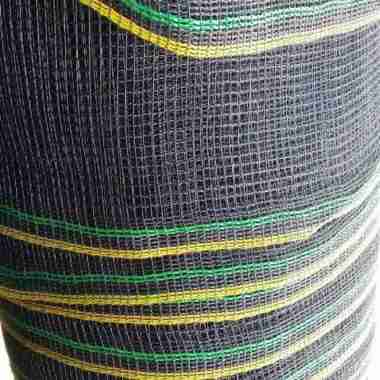 Jaring Pohon Terbaru November 2021 - Harga Murah u0026 Gratis Ongkir