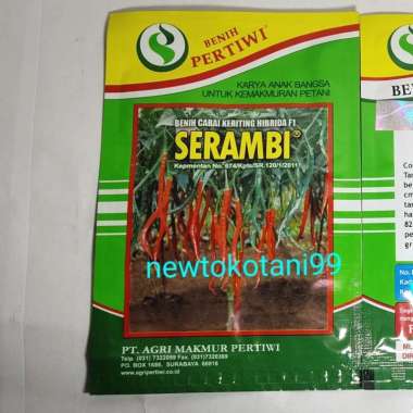 benih cabai keriting hibrida SERAMBI F1 10 gram cabe kriting 10gr