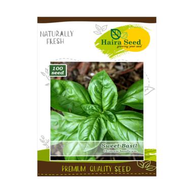 Haira Seed Herb Sweet Basil Bibit Tanaman