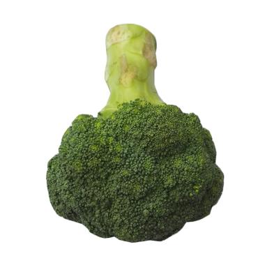 idr