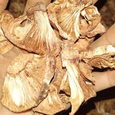 Tewel Kering Nangka Muda 1kg Organik