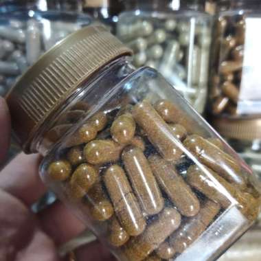 Kapsul Bawang Dayak 50Kapsul TERBARU
