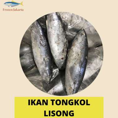 IKAN TONGKOL LISONG FRESH FROZEN JAKARTA