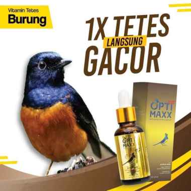 Optimaxx Vitamin Burung, Doping Mental Fighter, Burung Murai, Burung Lovebird, Burung Kenari, Optima