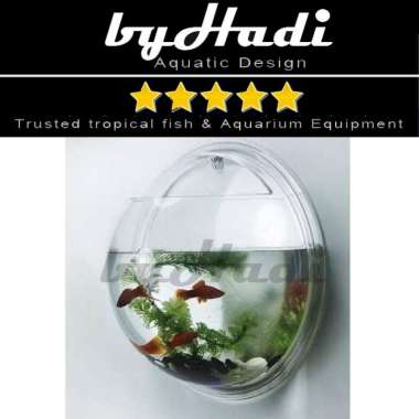 99 Dekorasi Aquarium Dinding Terbaru