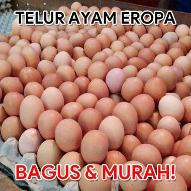 Telur ayam pembekal hero market