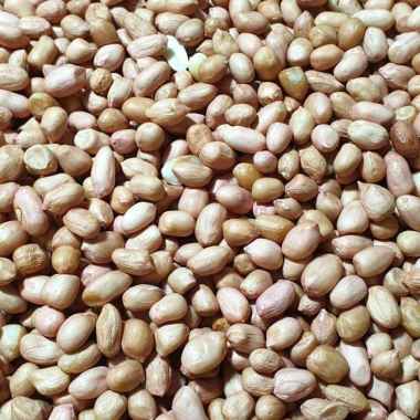 kacang tanah mentah 1 kg