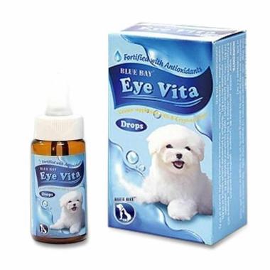 Jual Beli Hewan Blue Bay Jual Produk Terbaru Desember 2019