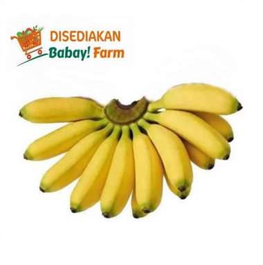 Pisang Mas 1 Sisir