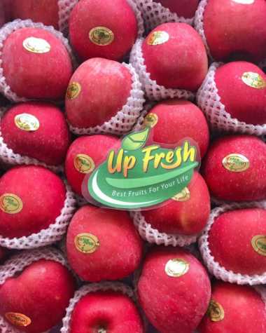 Apel Fuji Blush Pohon Premium